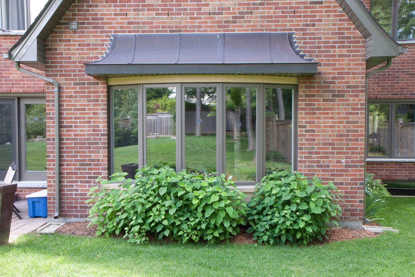 bay-&-bow-windows-img-0